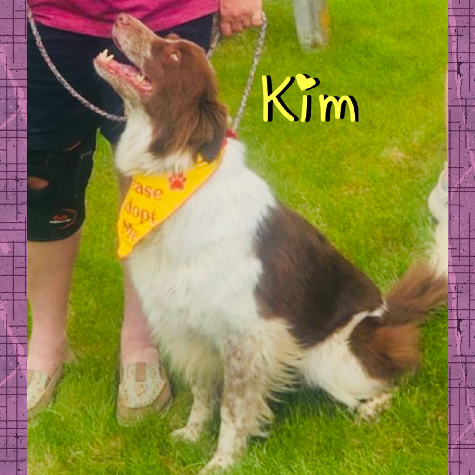 Kim