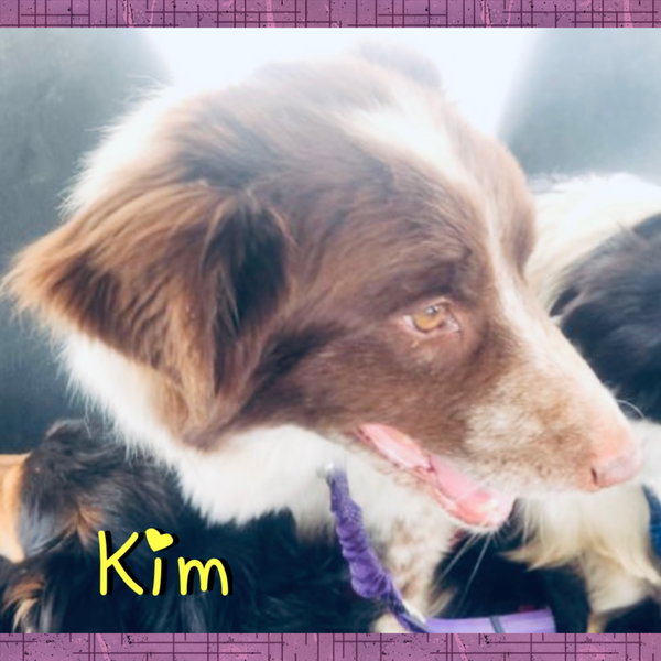 Kim