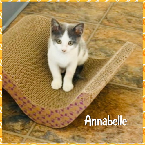 Anabelle photo 3