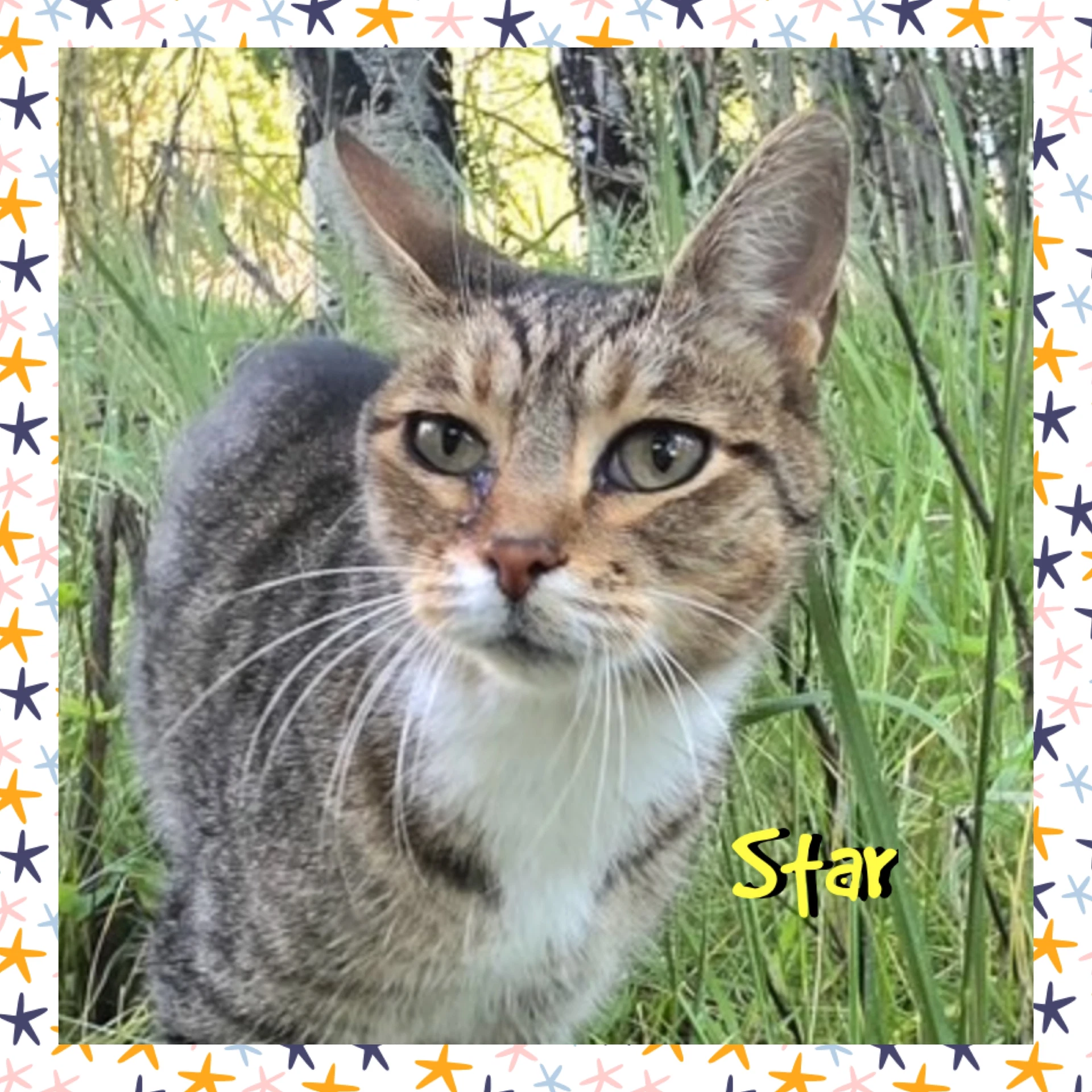 Star