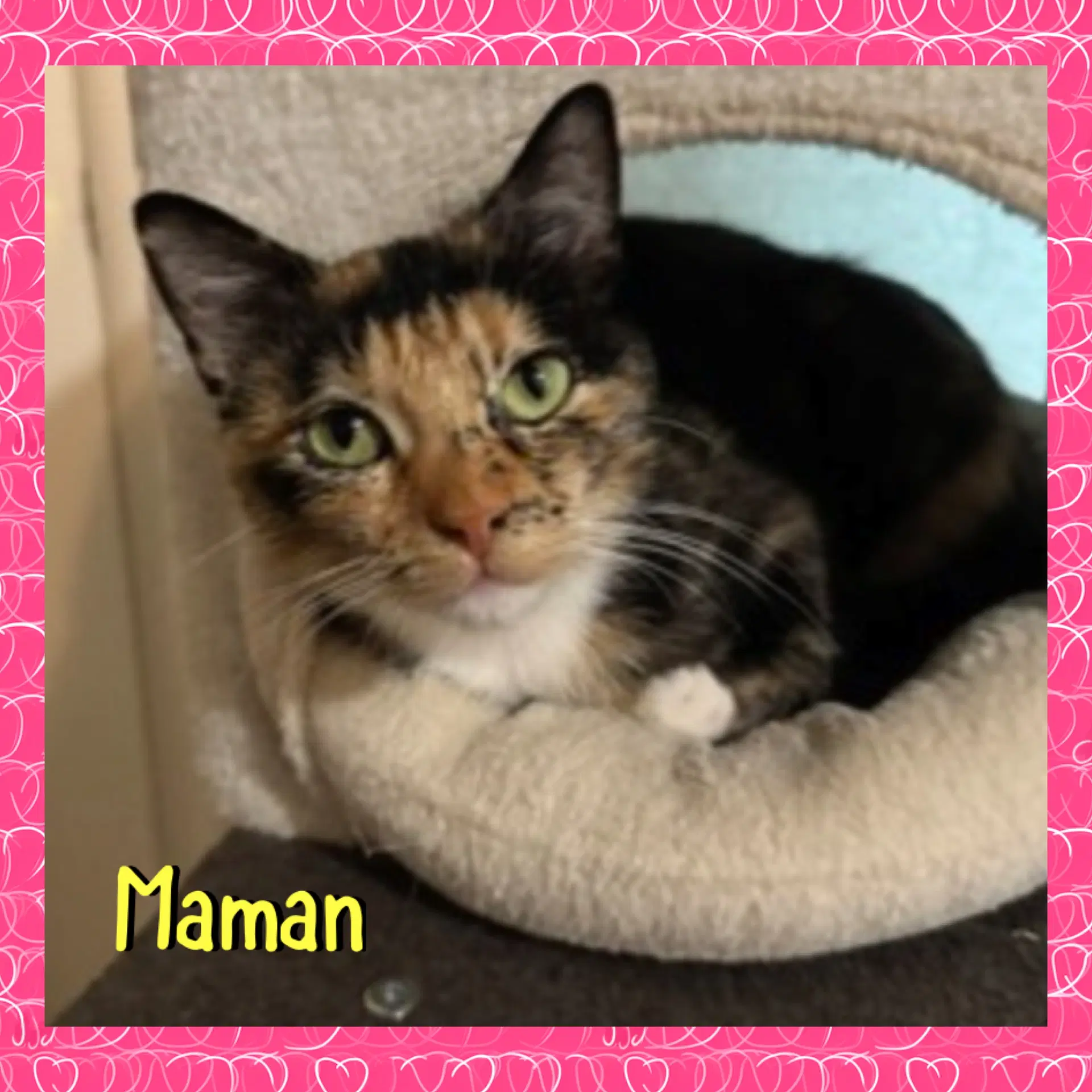 Maman image 2