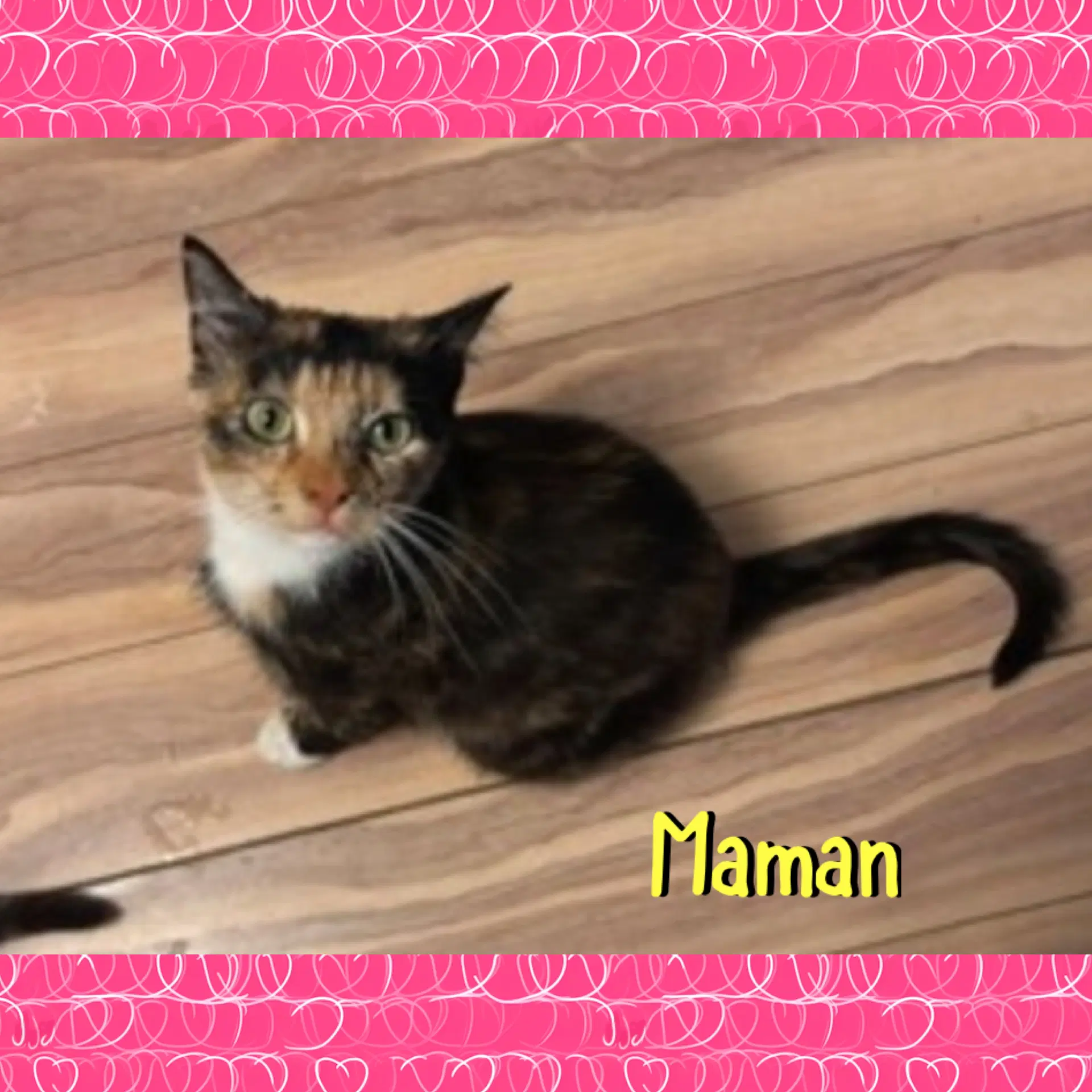 Maman image 3