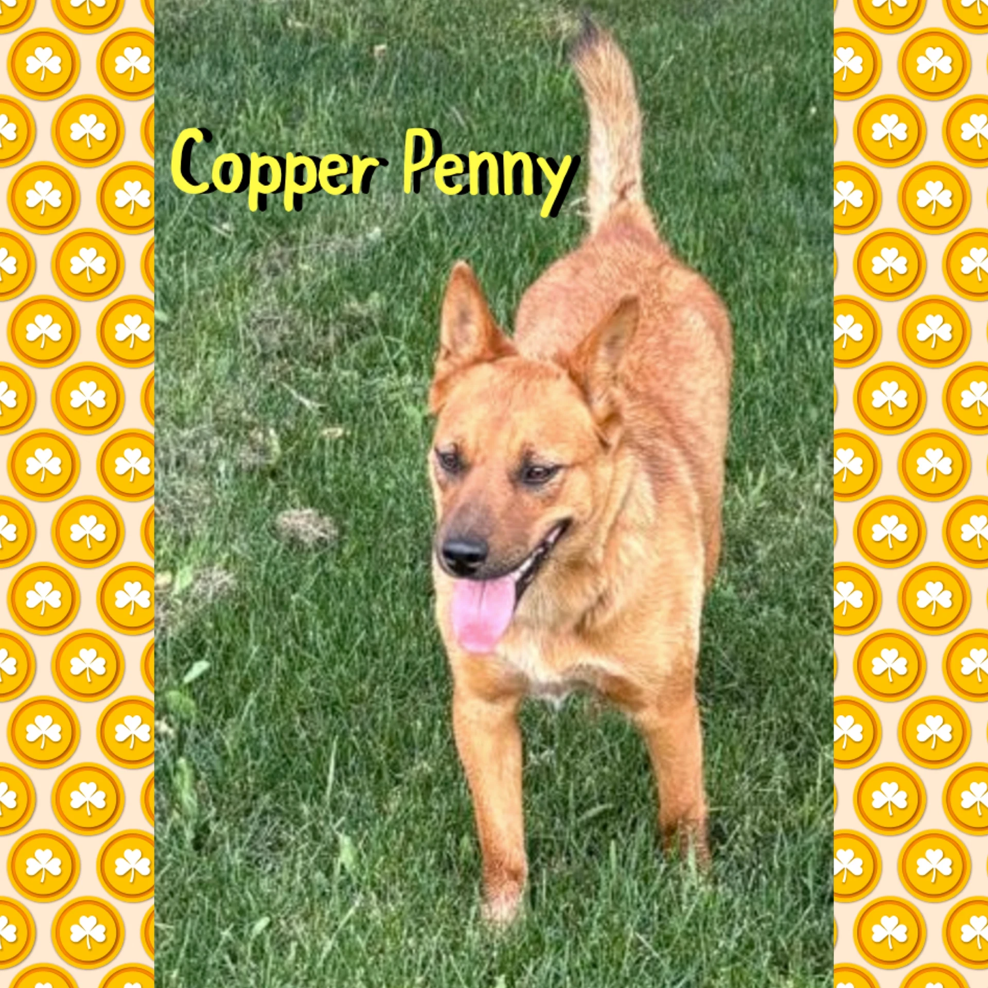Copper Penny