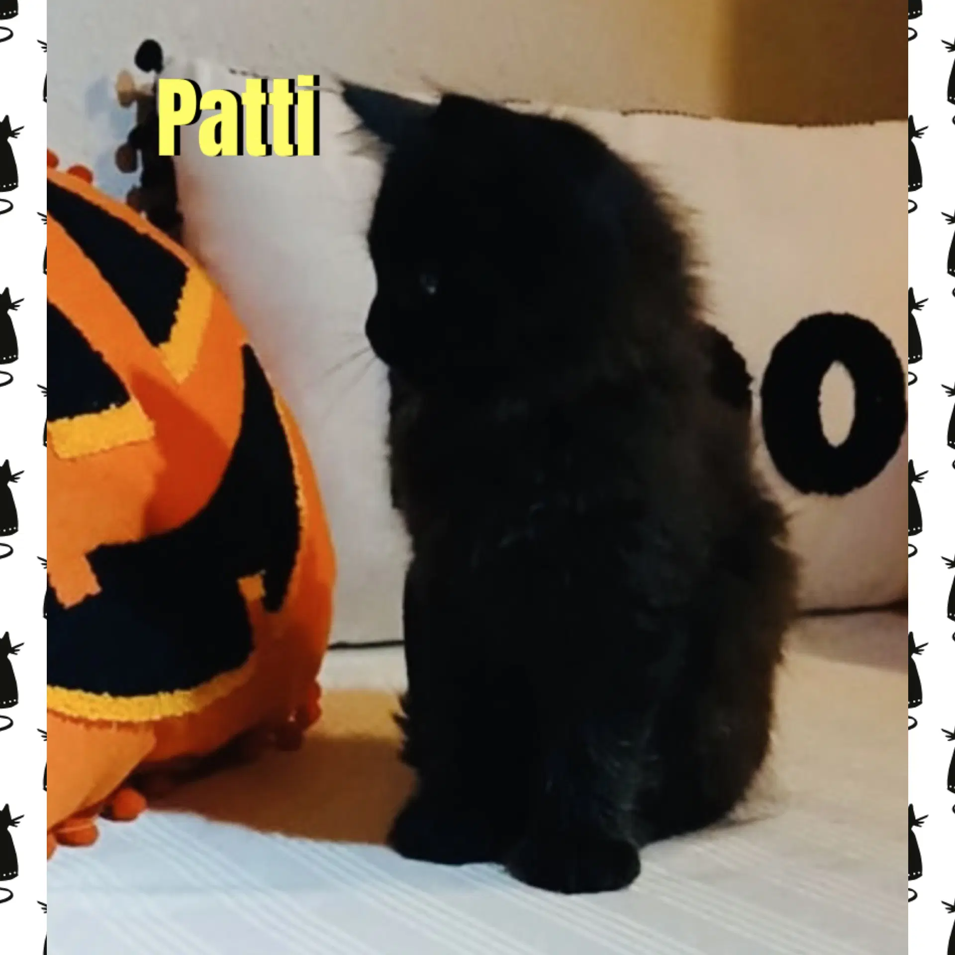 Patti image 2