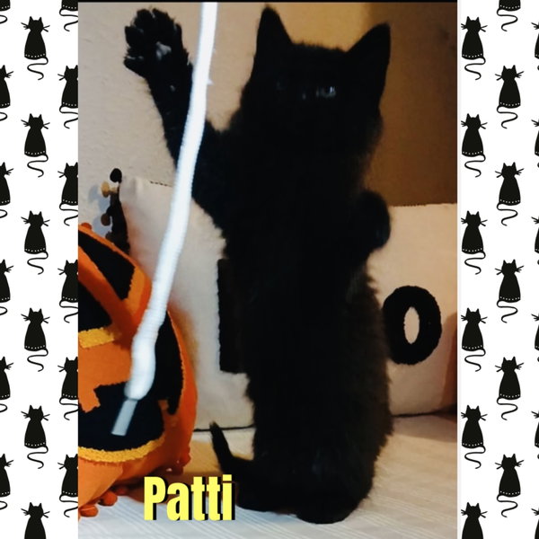 Patti