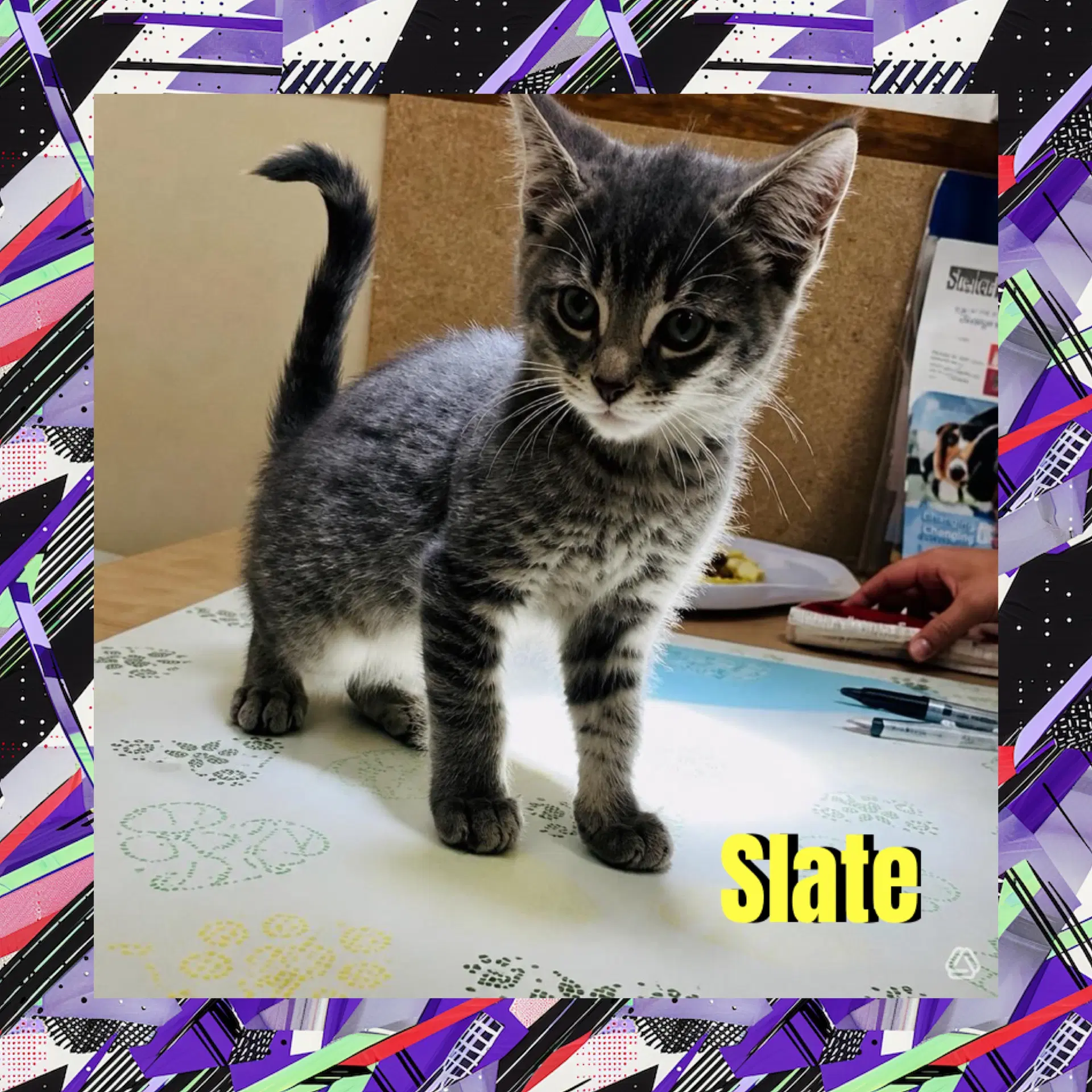 Slate - Domestic Medium Hair