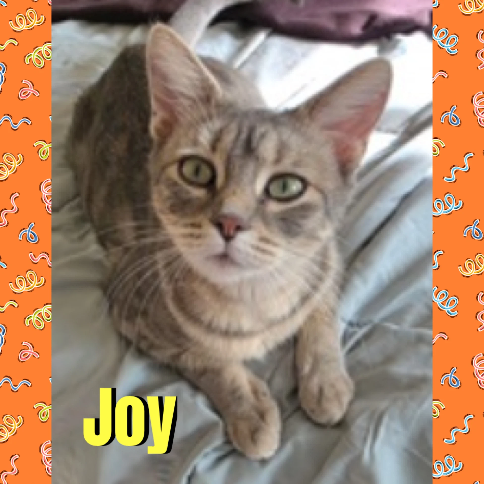 Joy