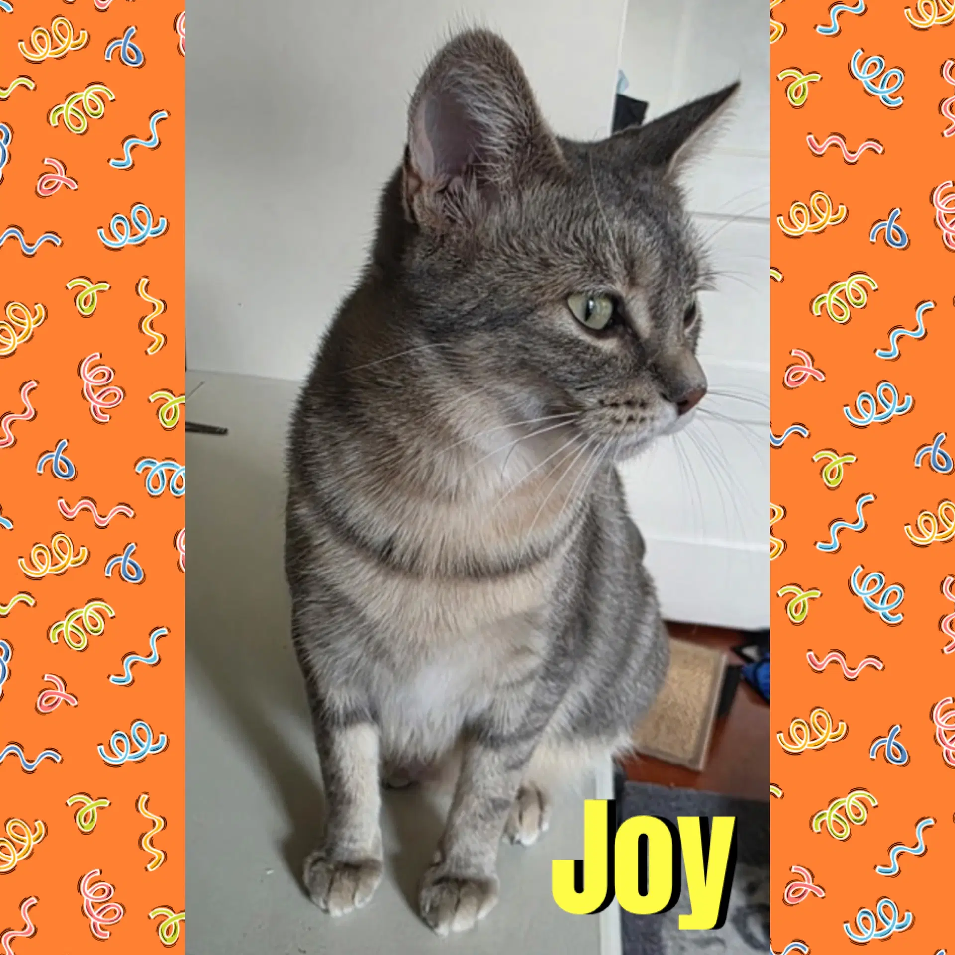 Joy image 2