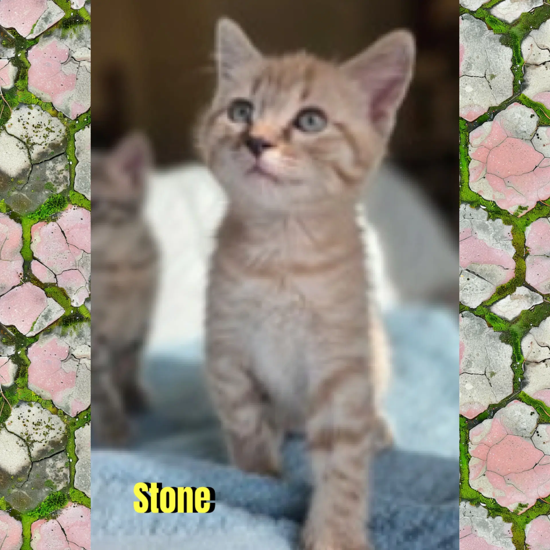 Stone image 2