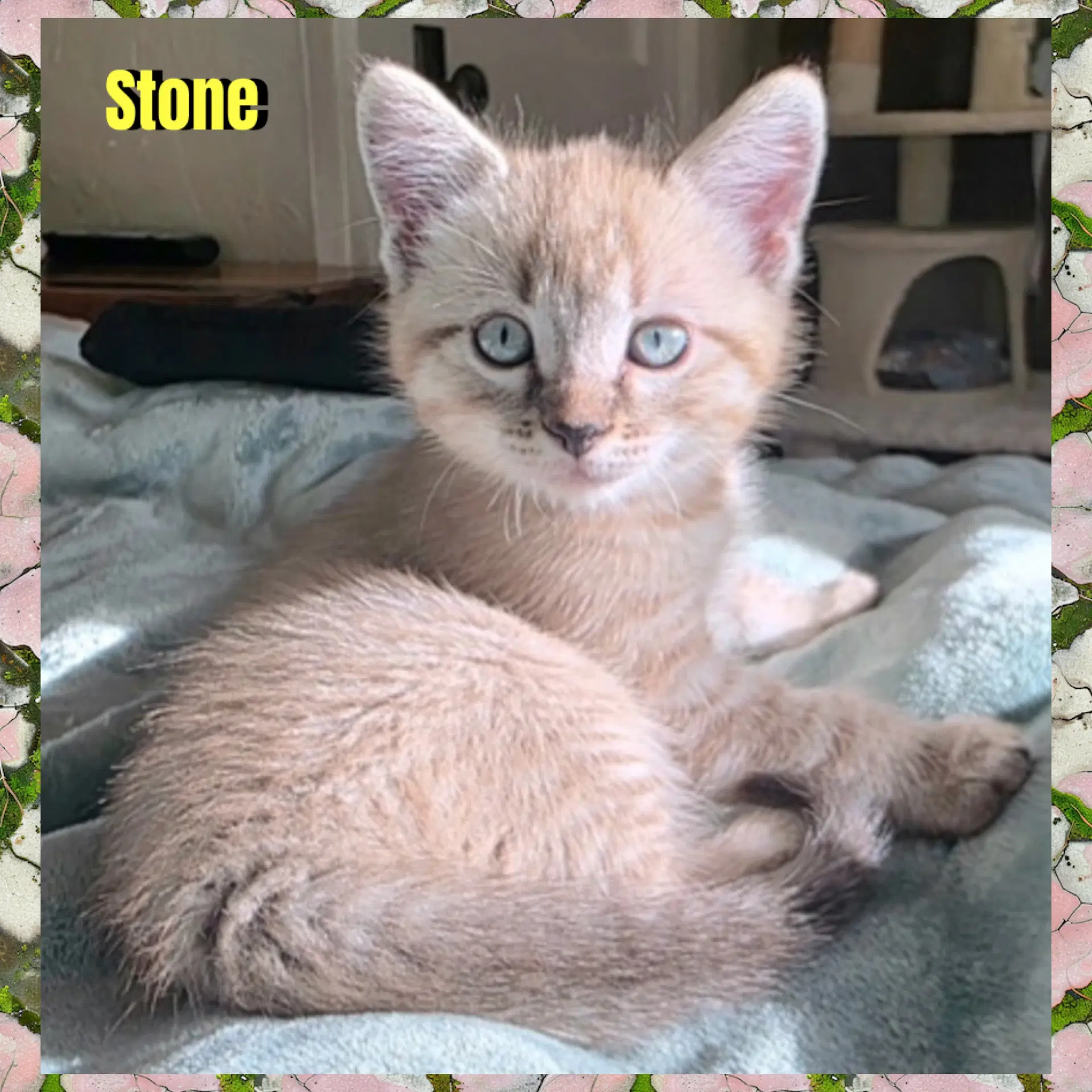 Stone image 3