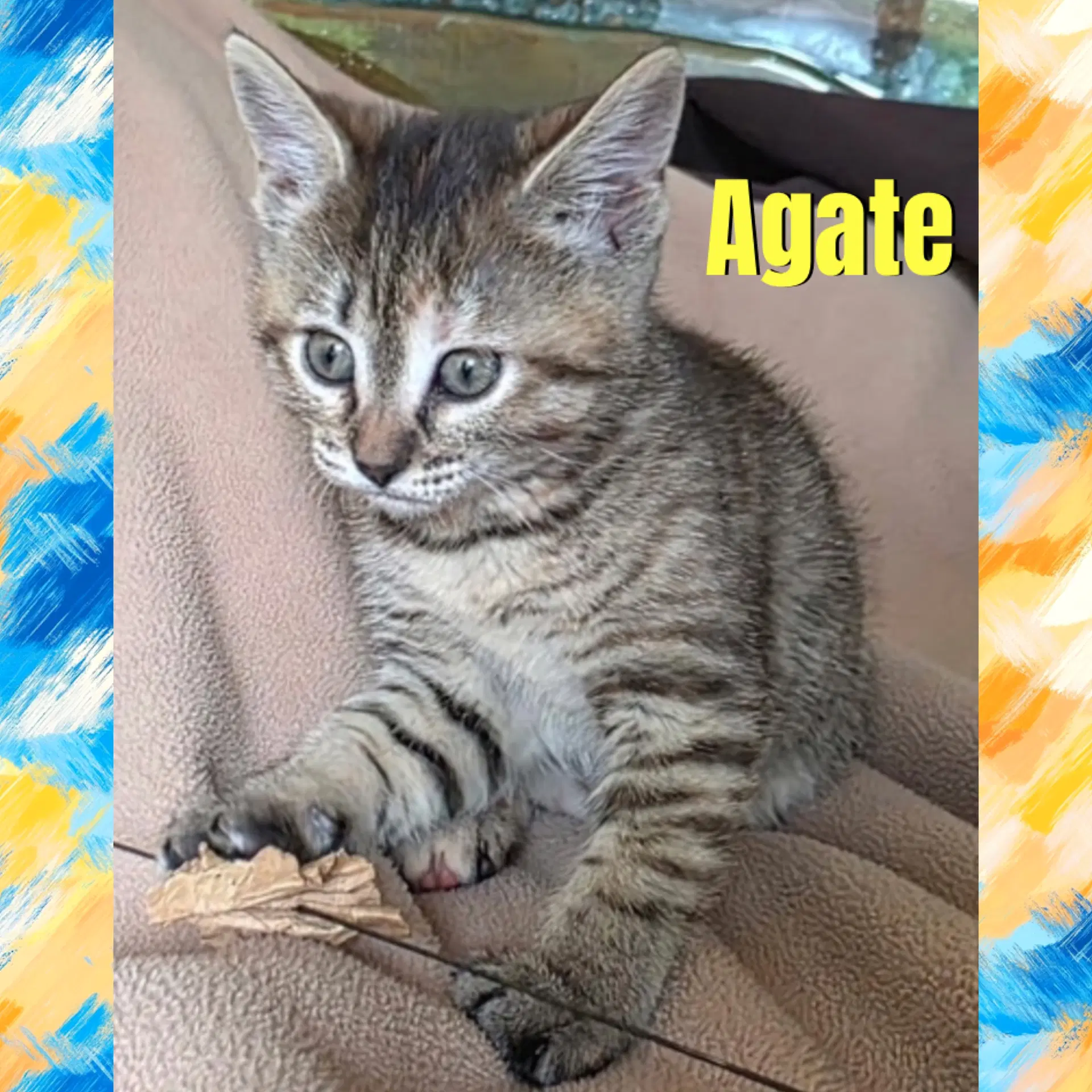 Agate image 3