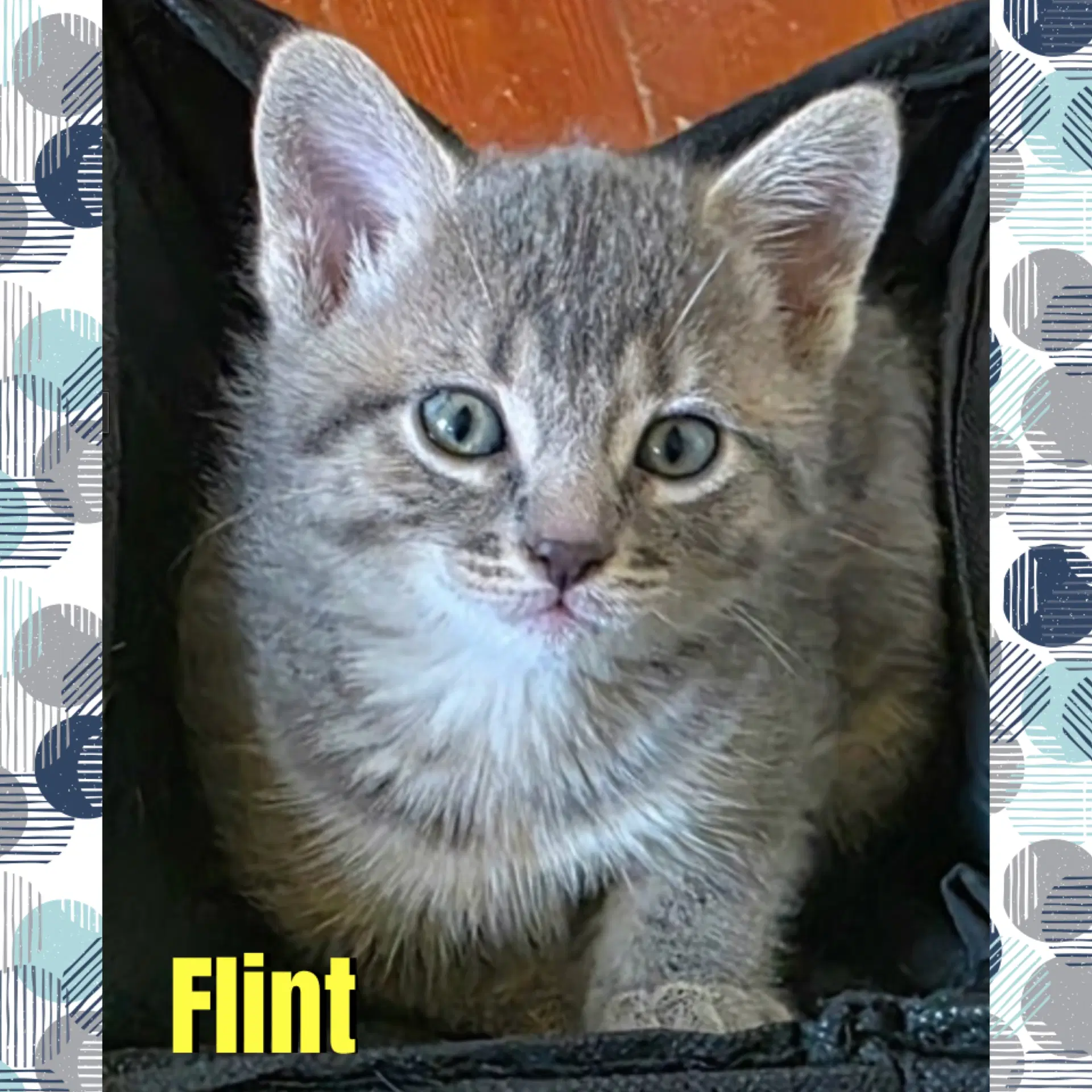 Flint image 2