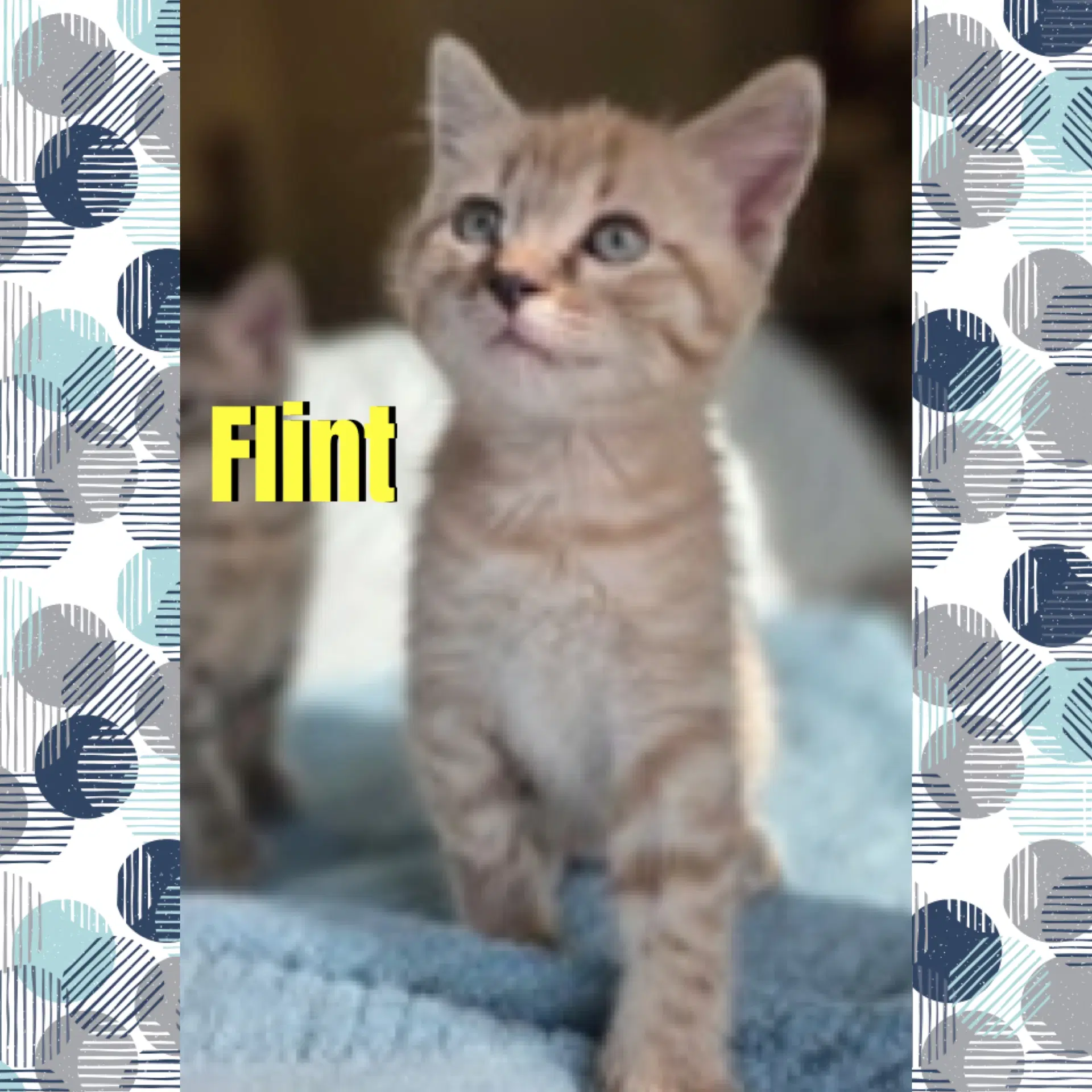 Flint image 3