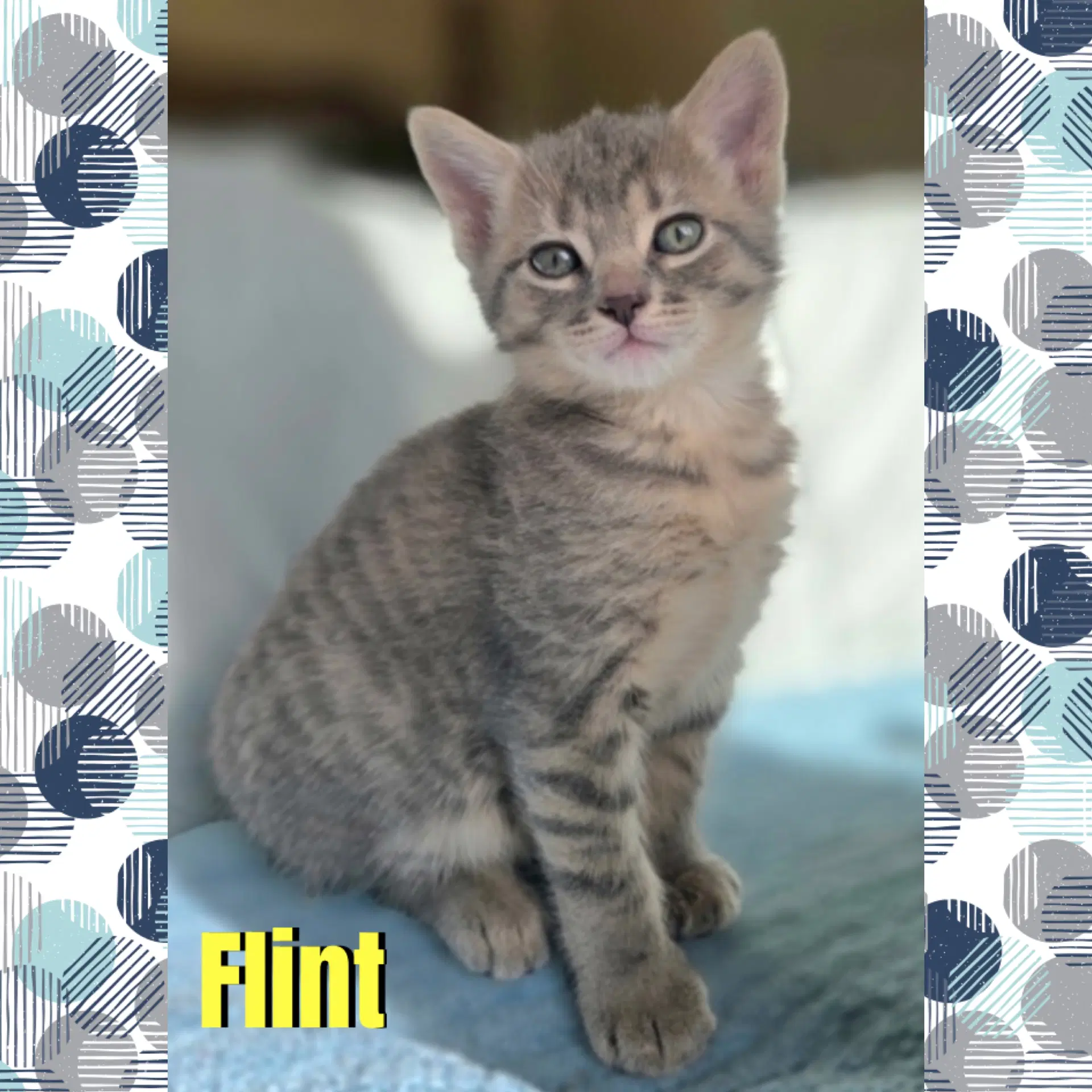 Flint image 4