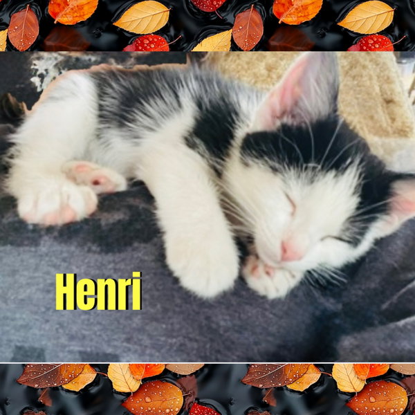 Henri