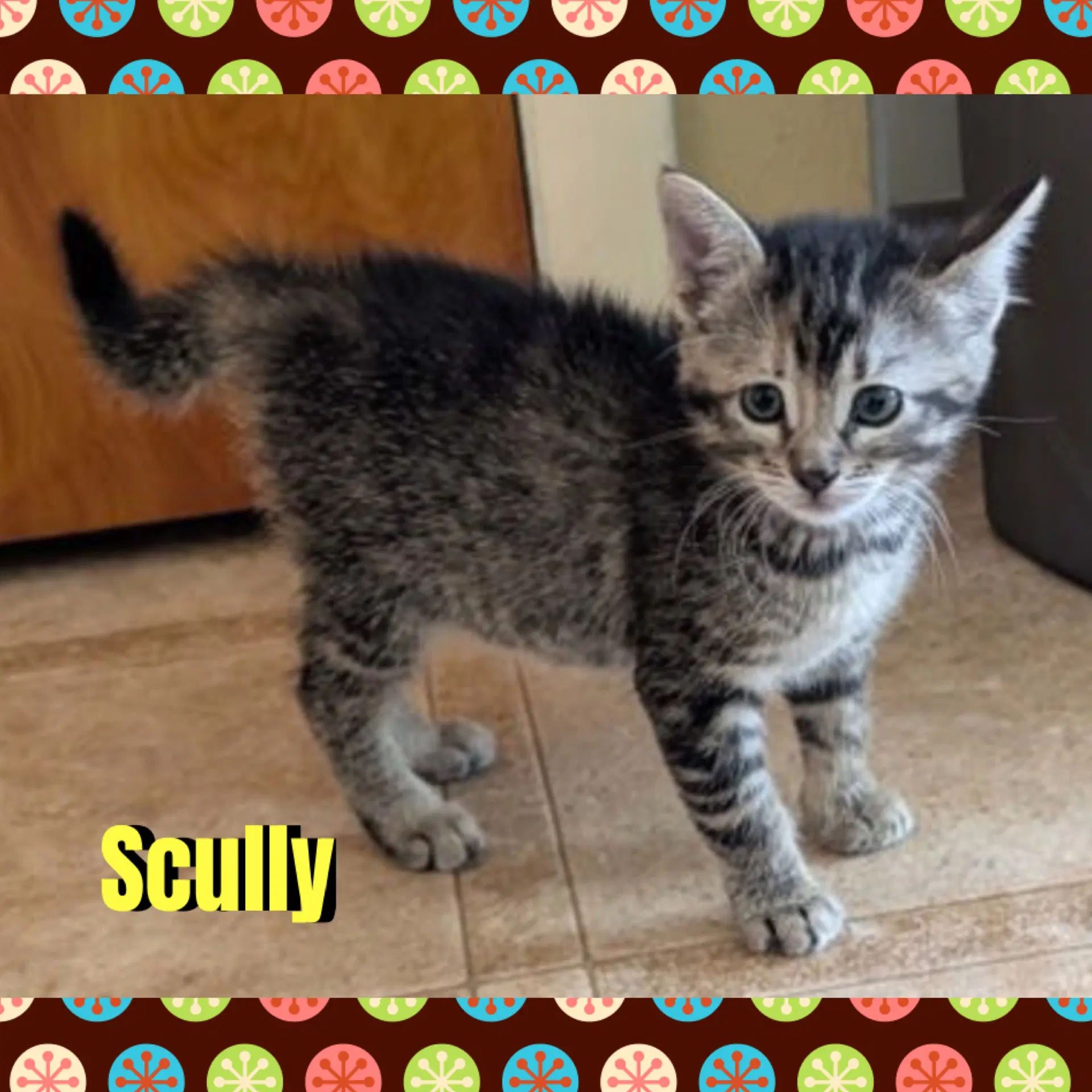Scully image 2