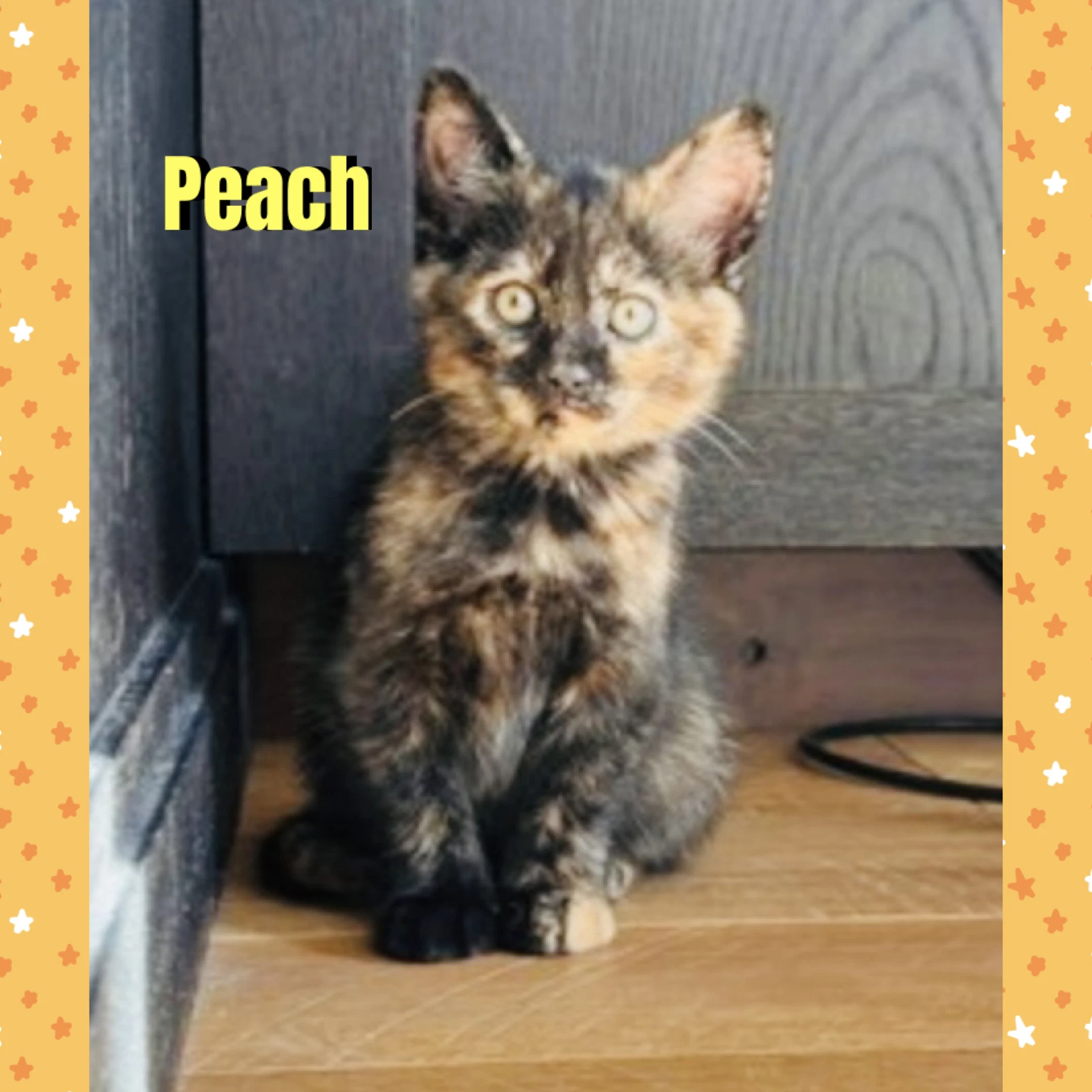 Peach