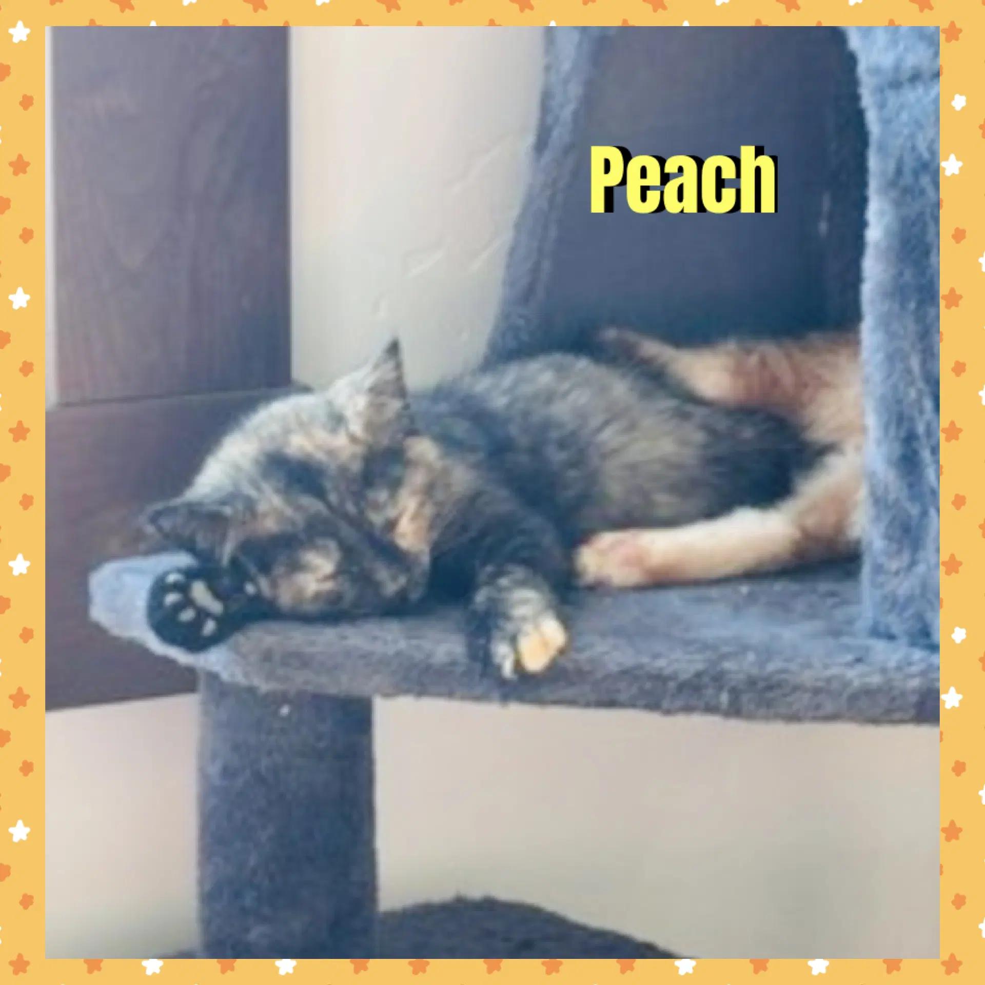 Peach image 3