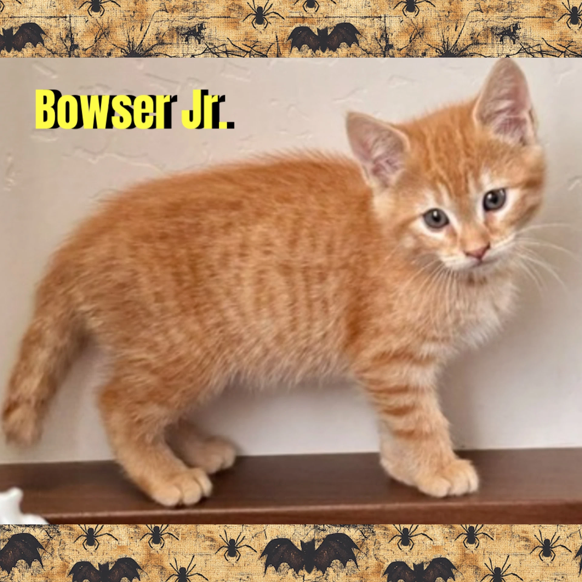 Bowser Jr