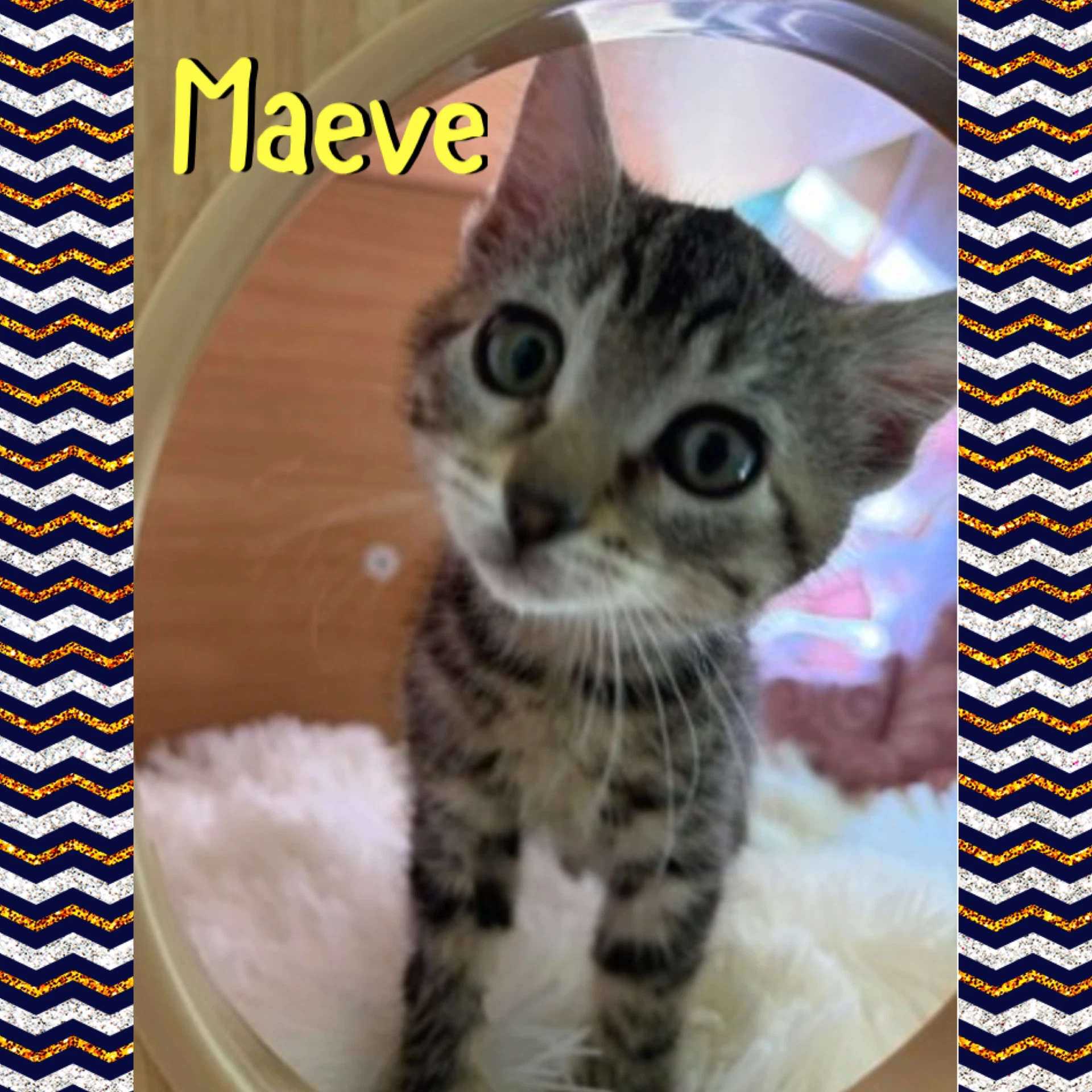 Maeve