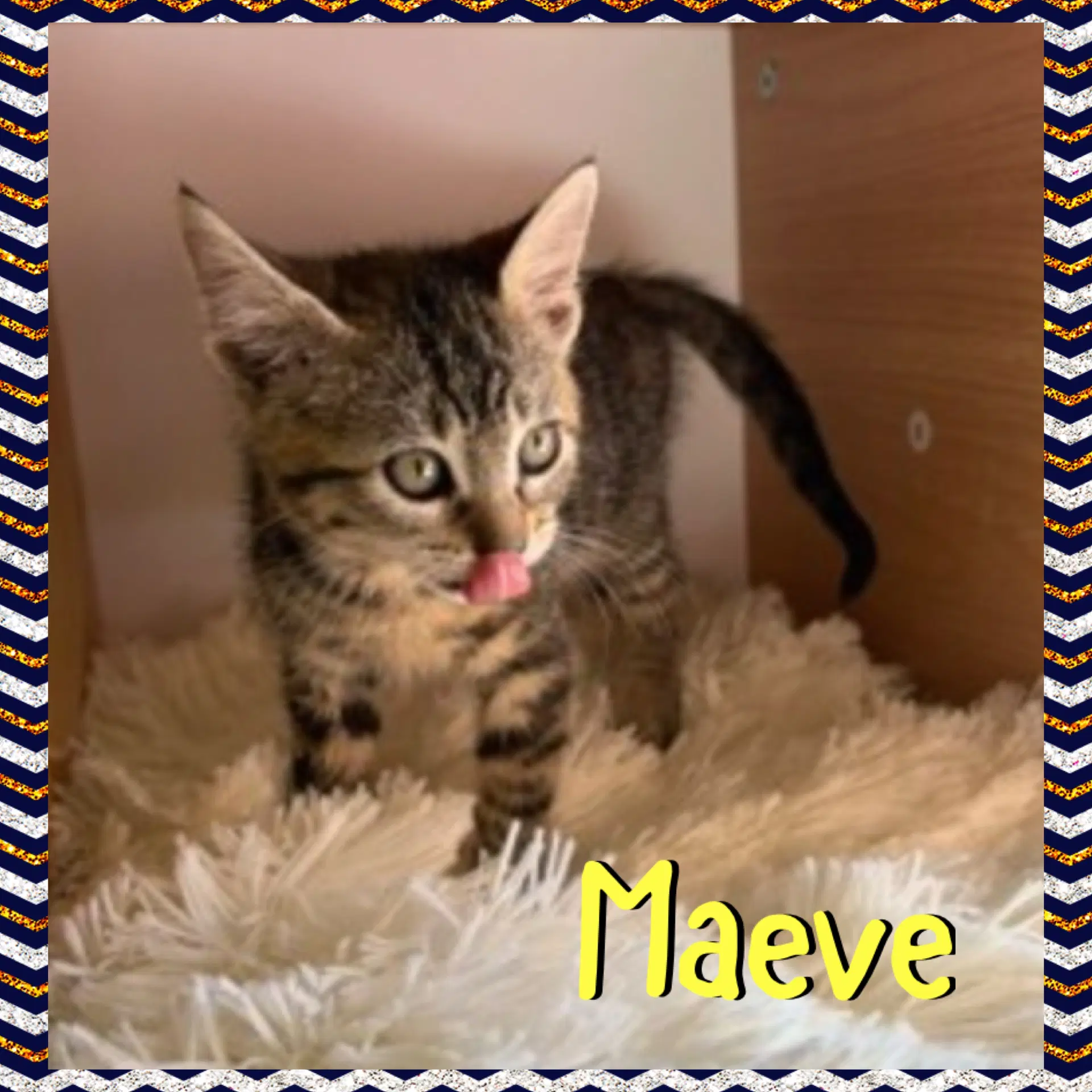 Maeve image 2