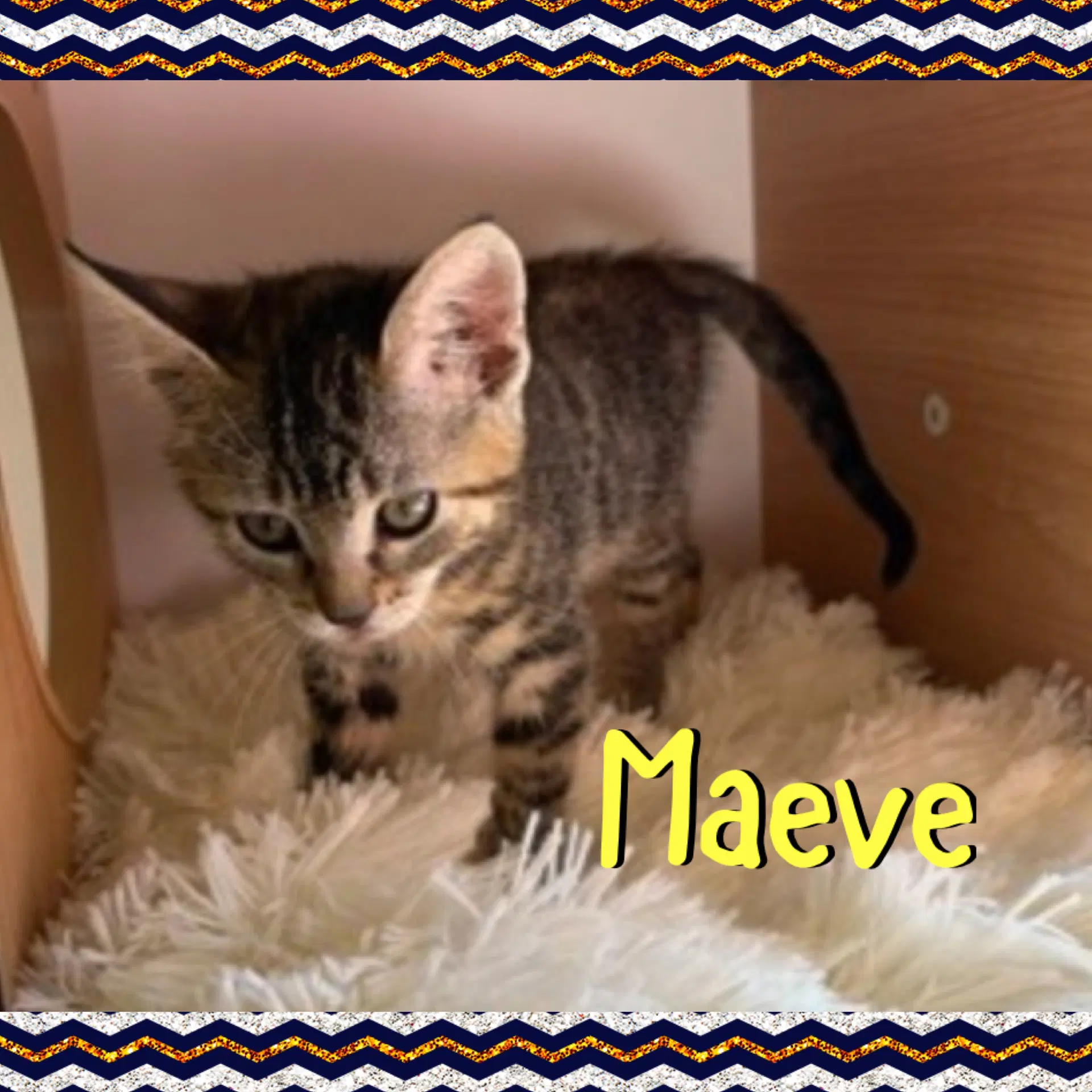 Maeve image 3