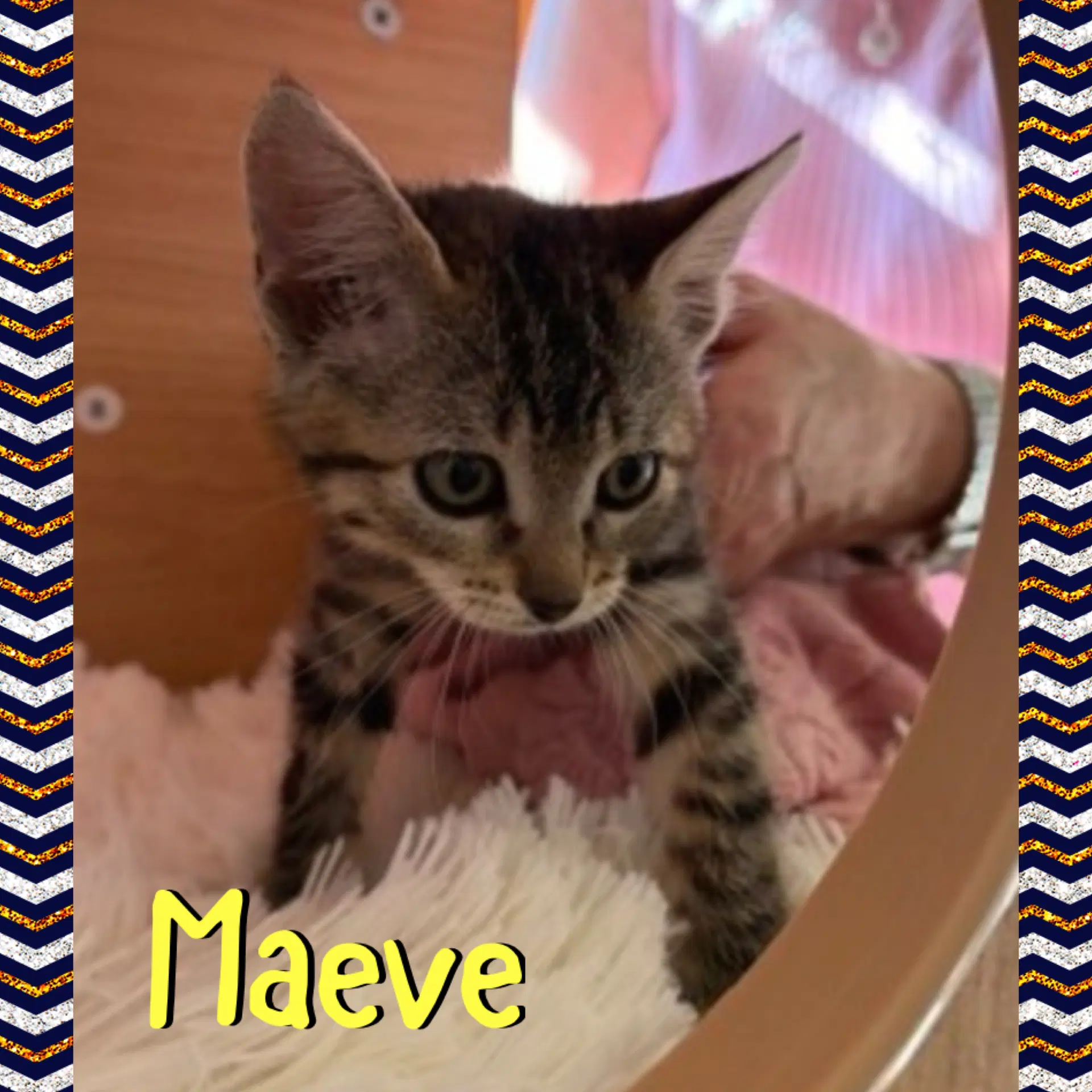Maeve image 4