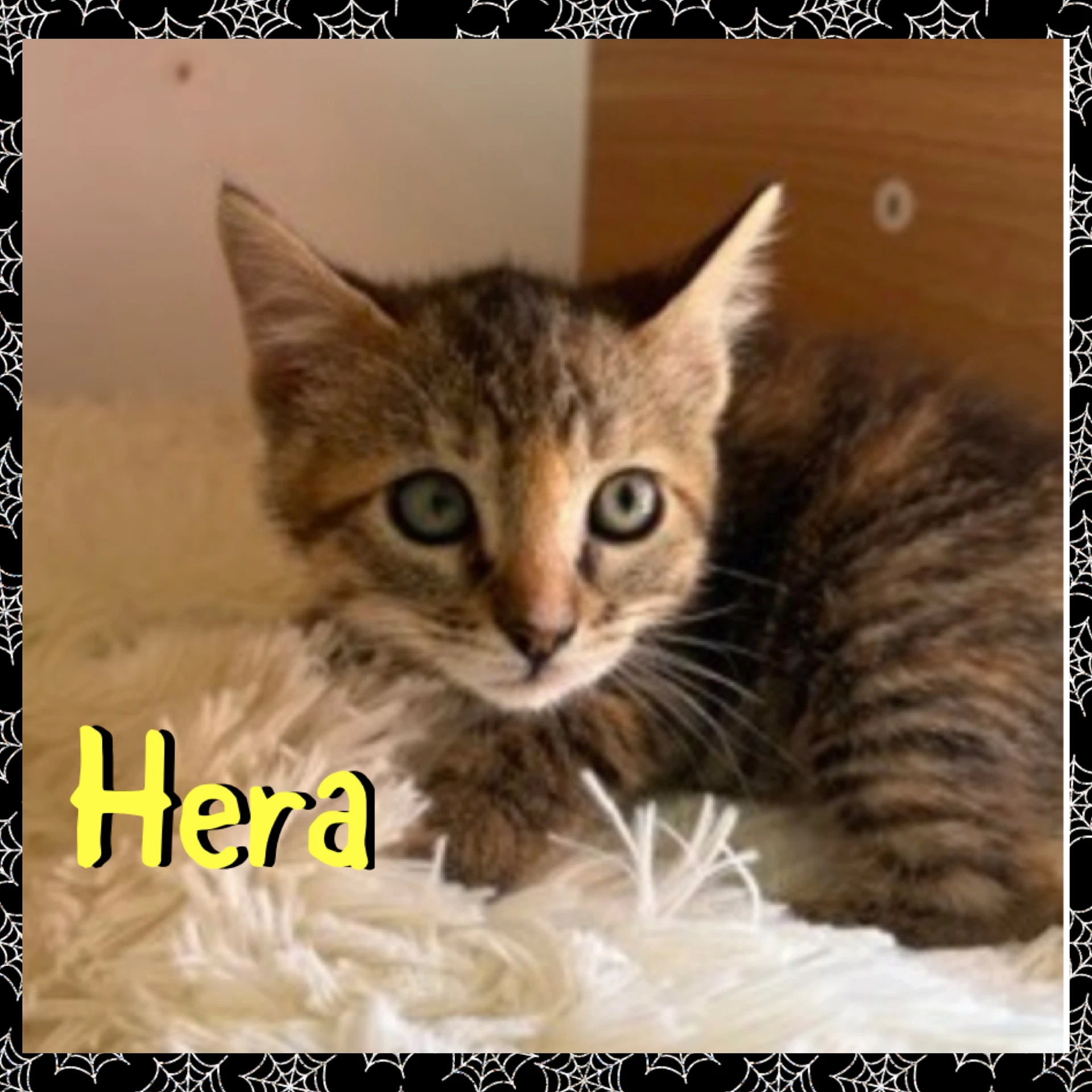 Hera