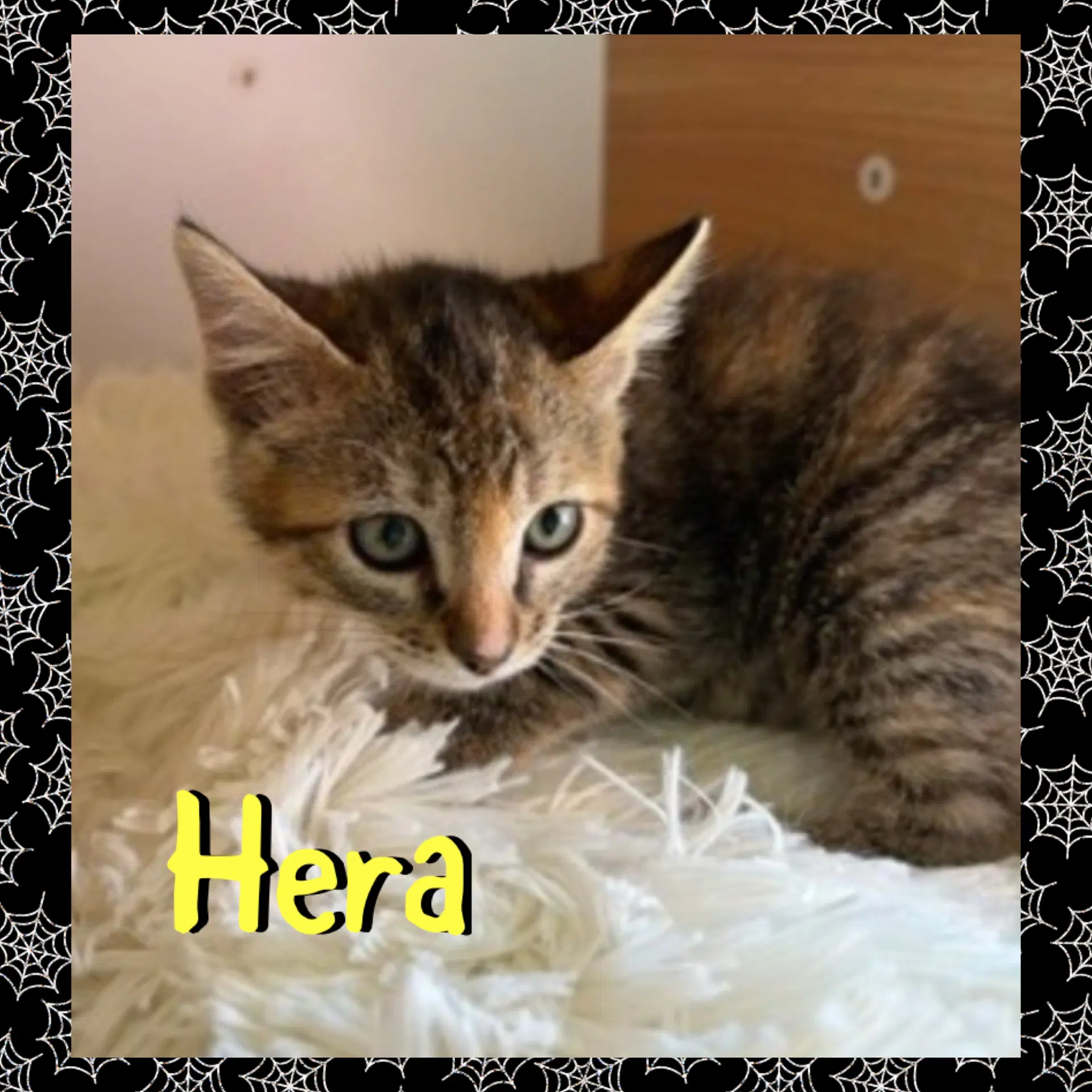 Hera image 3