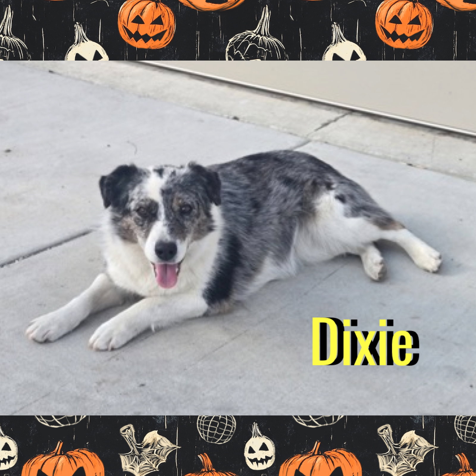 Dixie