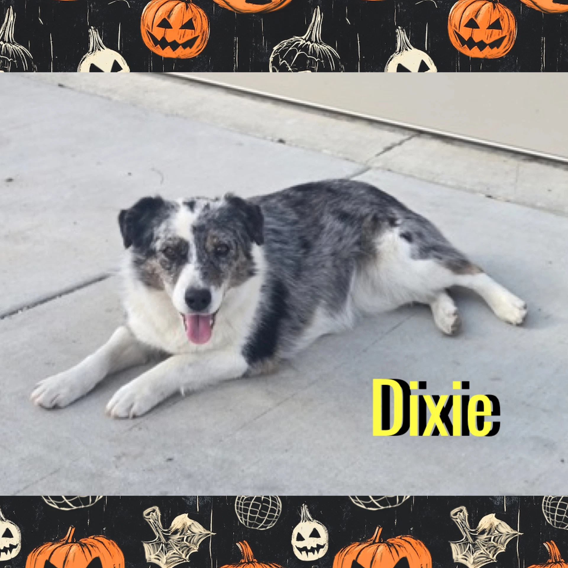 Dixie