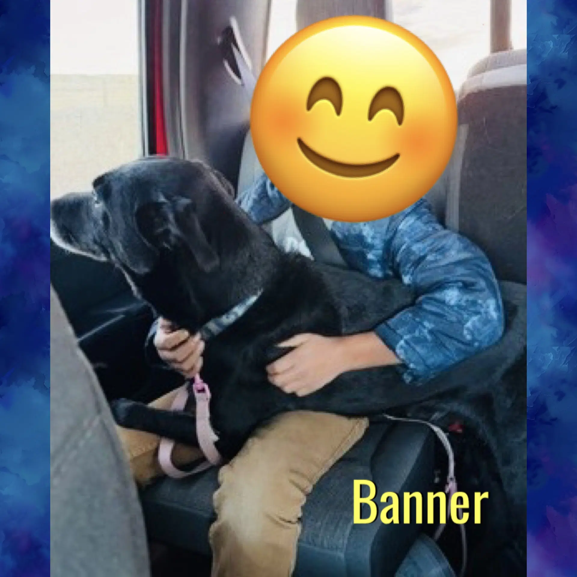 Banner image 2