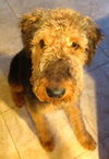 Rudy