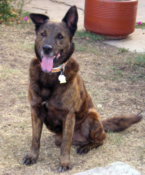 Rosco