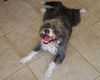 Romey
