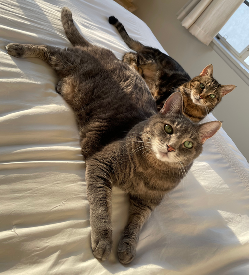 Jewel & Sheera