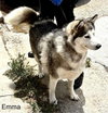 Emma - Photo 3