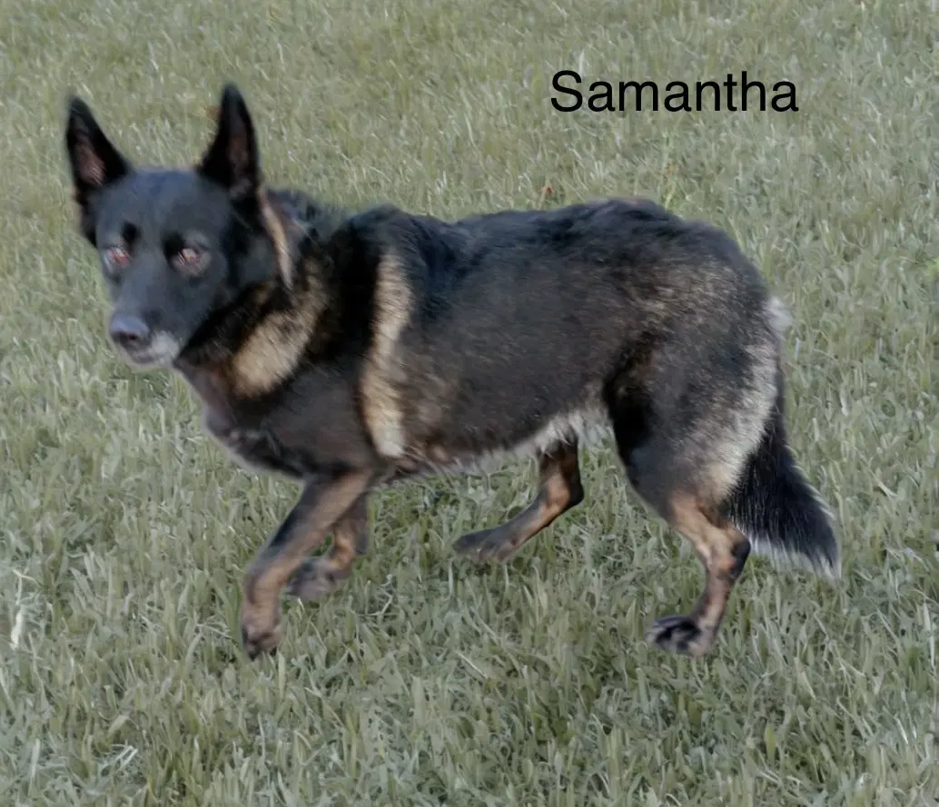 Samantha image 4