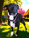 Fiona - Photo 1
