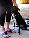 Fiona - Photo 3