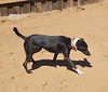 Fiona - Photo 9