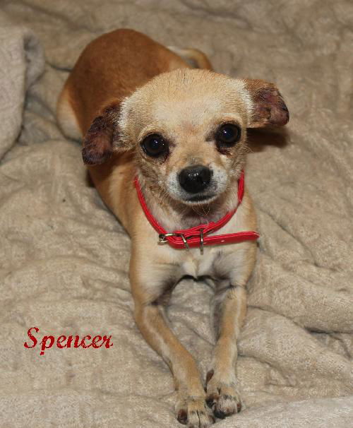 Spencer
