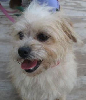 Roxy