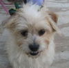Roxy