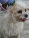 Roxy