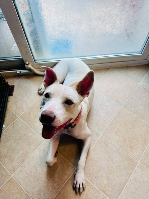 Lilah