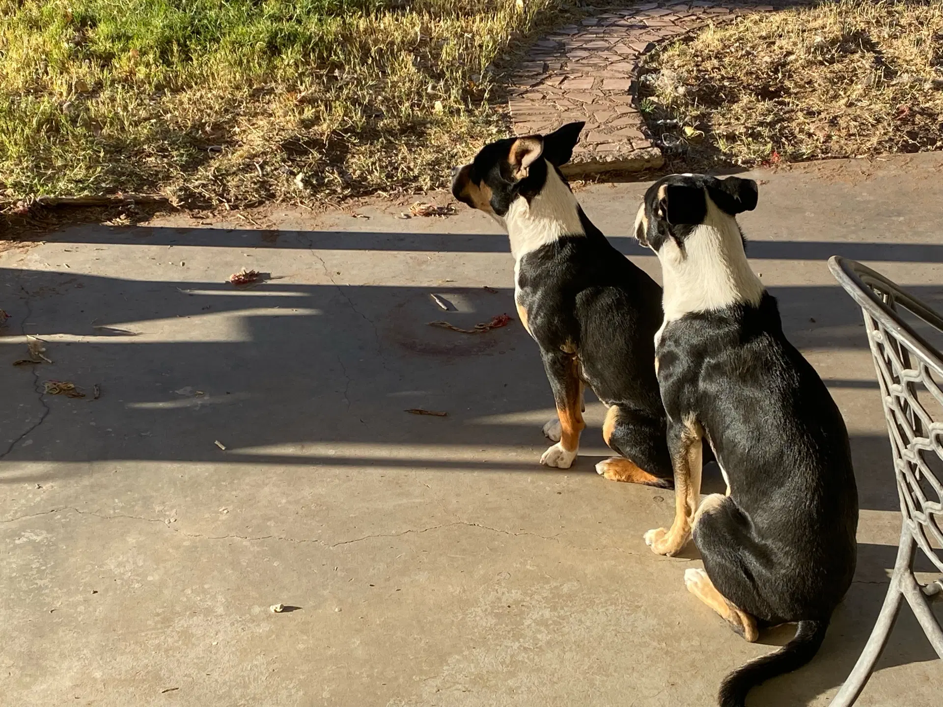 Linus And Lucy Courtesy image 2