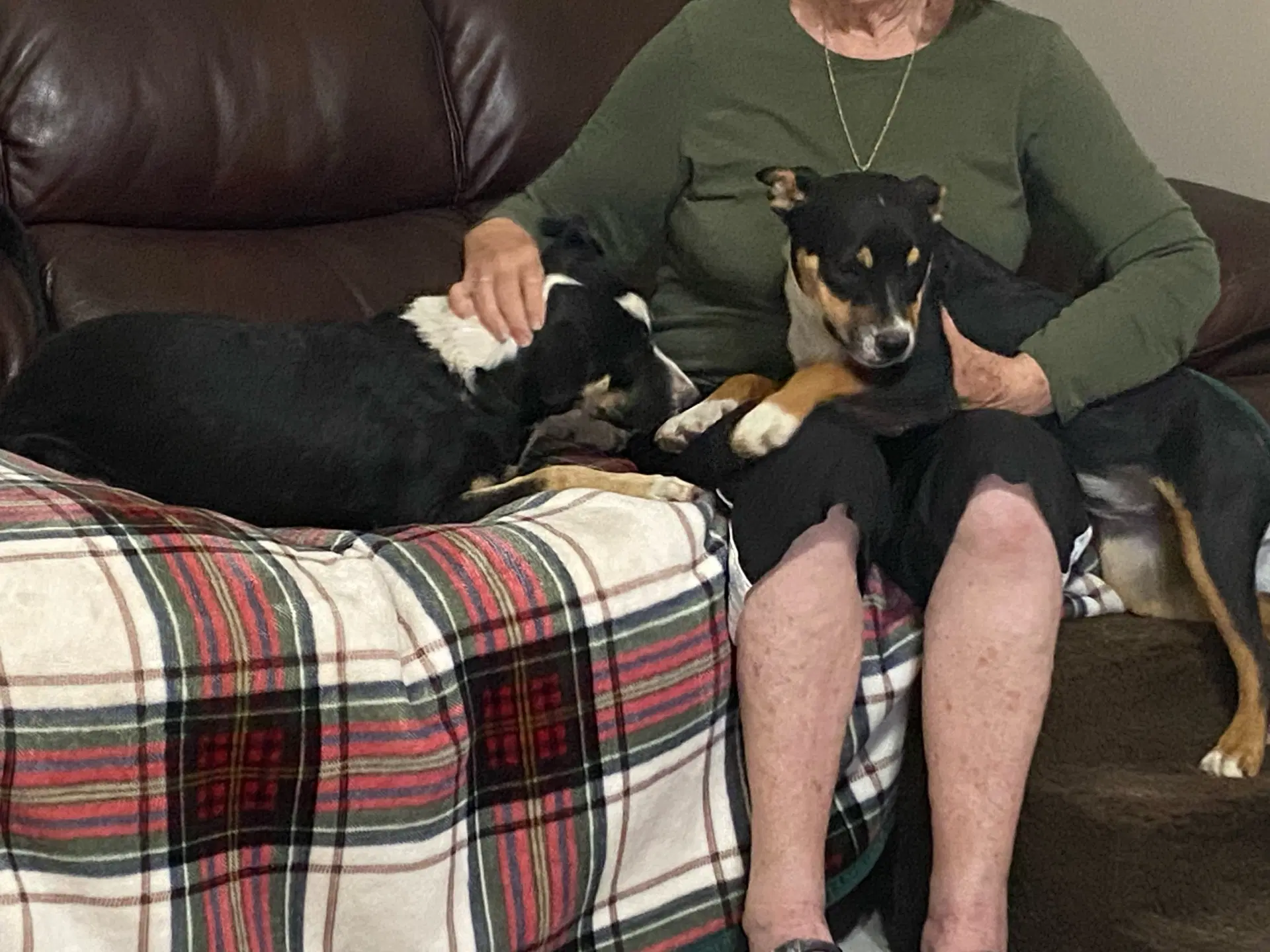 Linus And Lucy Courtesy image 3