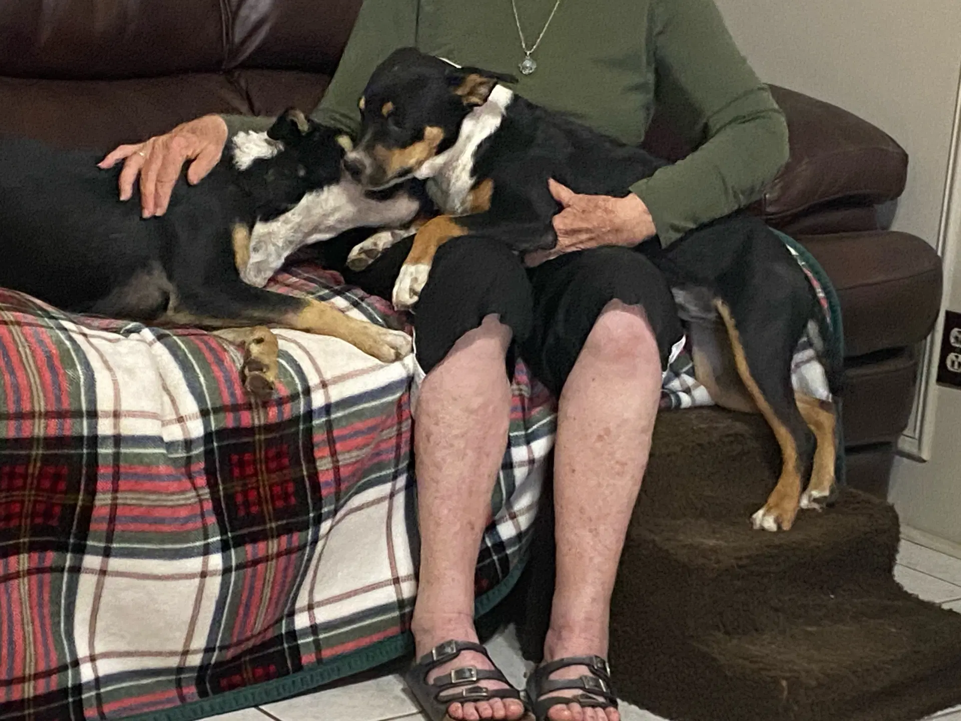 Linus And Lucy Courtesy image 4