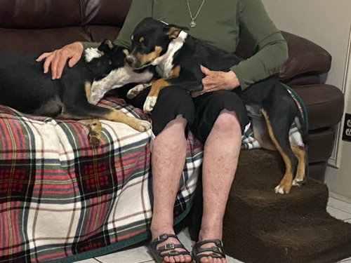 Linus and Lucy photo 4